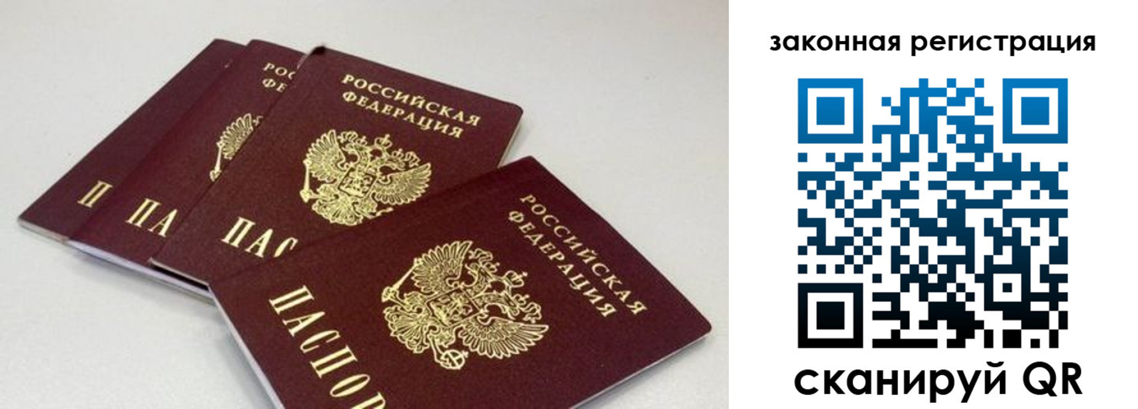 временная регистрация в Зее